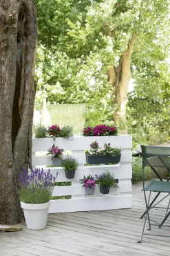 Geli Pflanztopf Easy 37 x 10 cm anthrazit für Europalette
