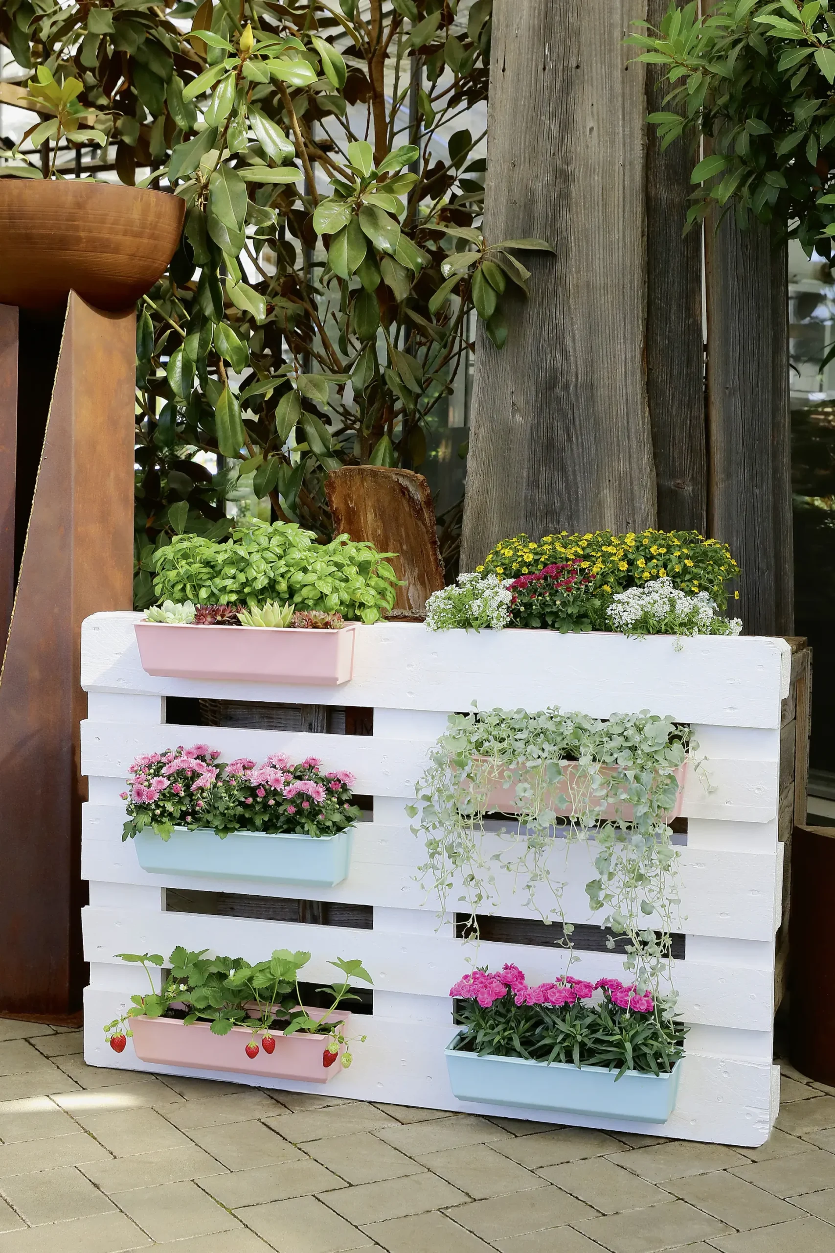 Geli Pflanztopf Easy 37 x 10 cm zartrosa für Europalette