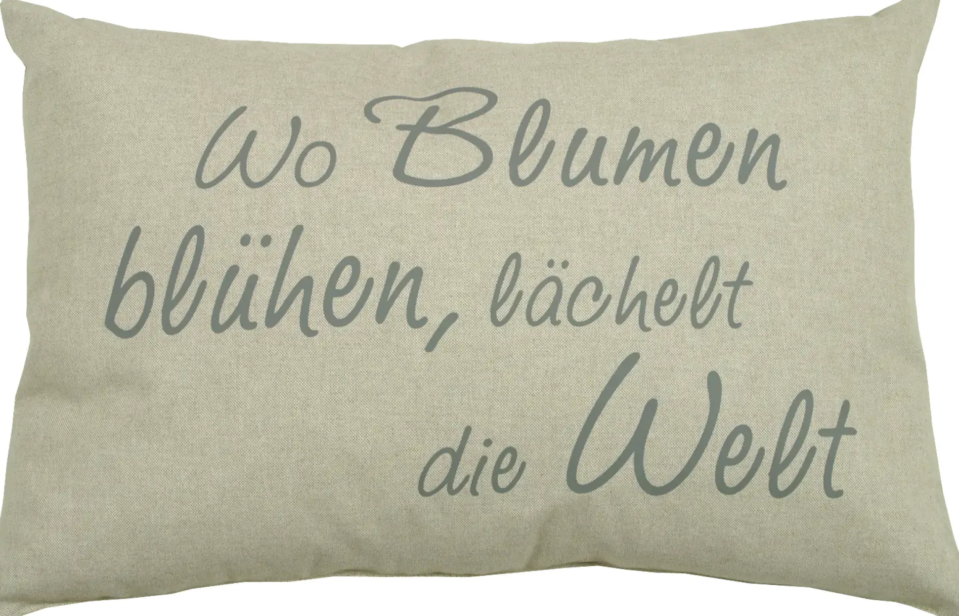 GO-DE Sprüchekissen 60 x 40 x 12 cm, beige