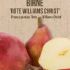 Historische Bio Obstbäume Birne rote Williams Christ H 150 cm 29 cm Topf