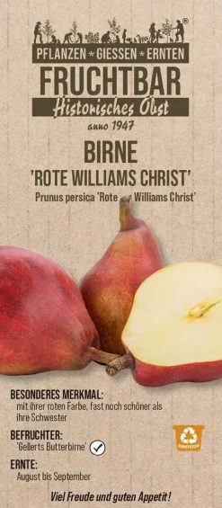 Historische Bio Obstbäume Birne rote Williams Christ H 150 cm 29 cm Topf