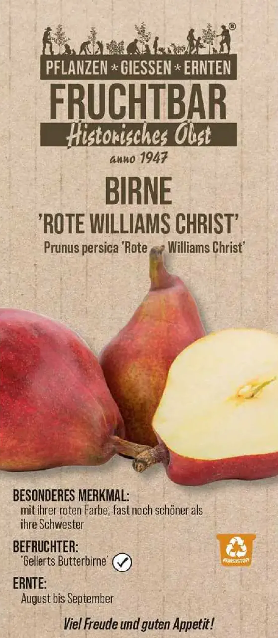 Historische Bio Obstbäume Birne rote Williams Christ H 150 cm 29 cm Topf