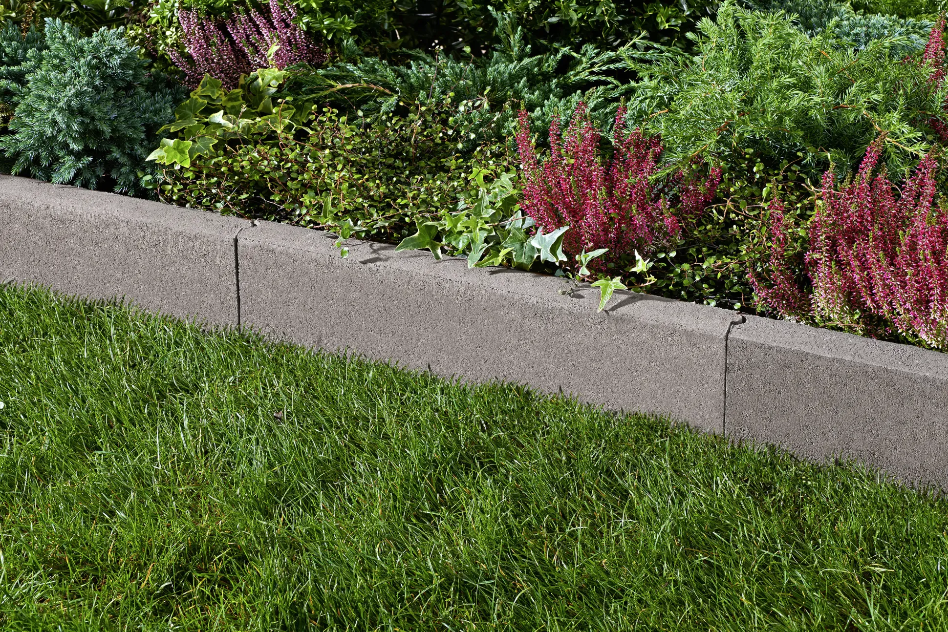 Kann Randstein mit Nut- und Feder 50 x 25 x 5 cm grau