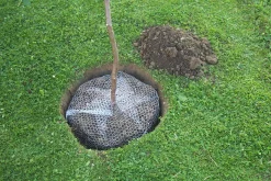 Kerbl Wühlmauskorb groß 60 cm verzinkt