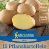 Kiepenkerl Bio Pflanzkartoffel Gunda 10 Stück