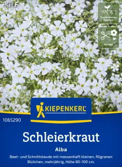 Kiepenkerl Blumensamen Schleierkraut Alba für ca. 70 Pflanzen