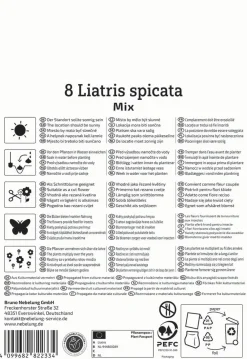 Kiepenkerl Frühjahrsblumenzwiebel Prachtscharte Liatris Blau und Weiß 8 Stück