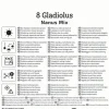 Kiepenkerl Frühjahrsblumenzwiebel Gladiole kleinblumige Mischung 8 Stück