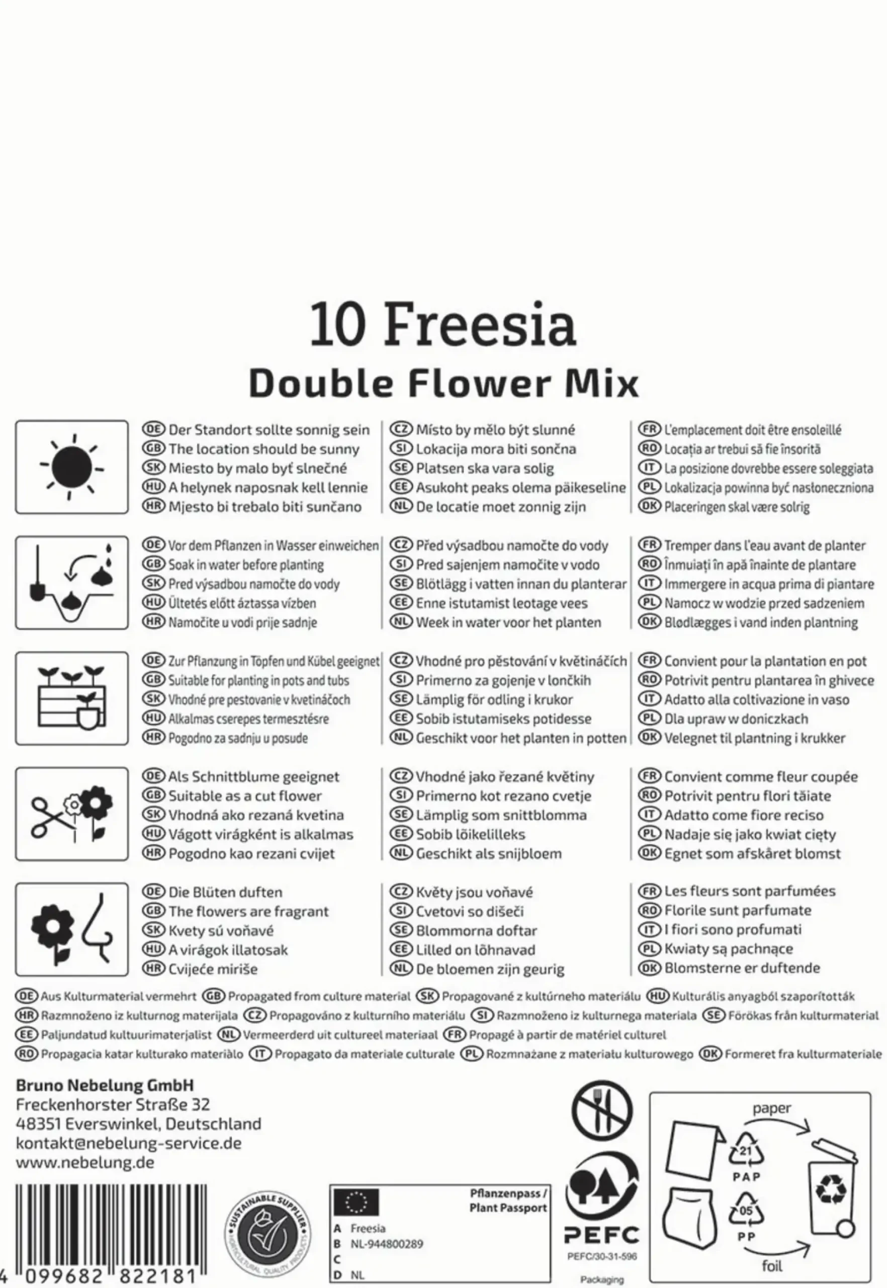 Kiepenkerl Frühjahrsblumenzwiebel Freesien Mischung gefüllte Blüten 10 Stück