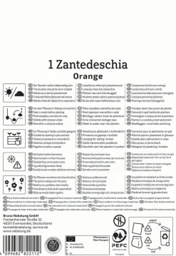 Kiepenkerl Frühjahrsblumenzwiebel Calla Orange 1 Stück