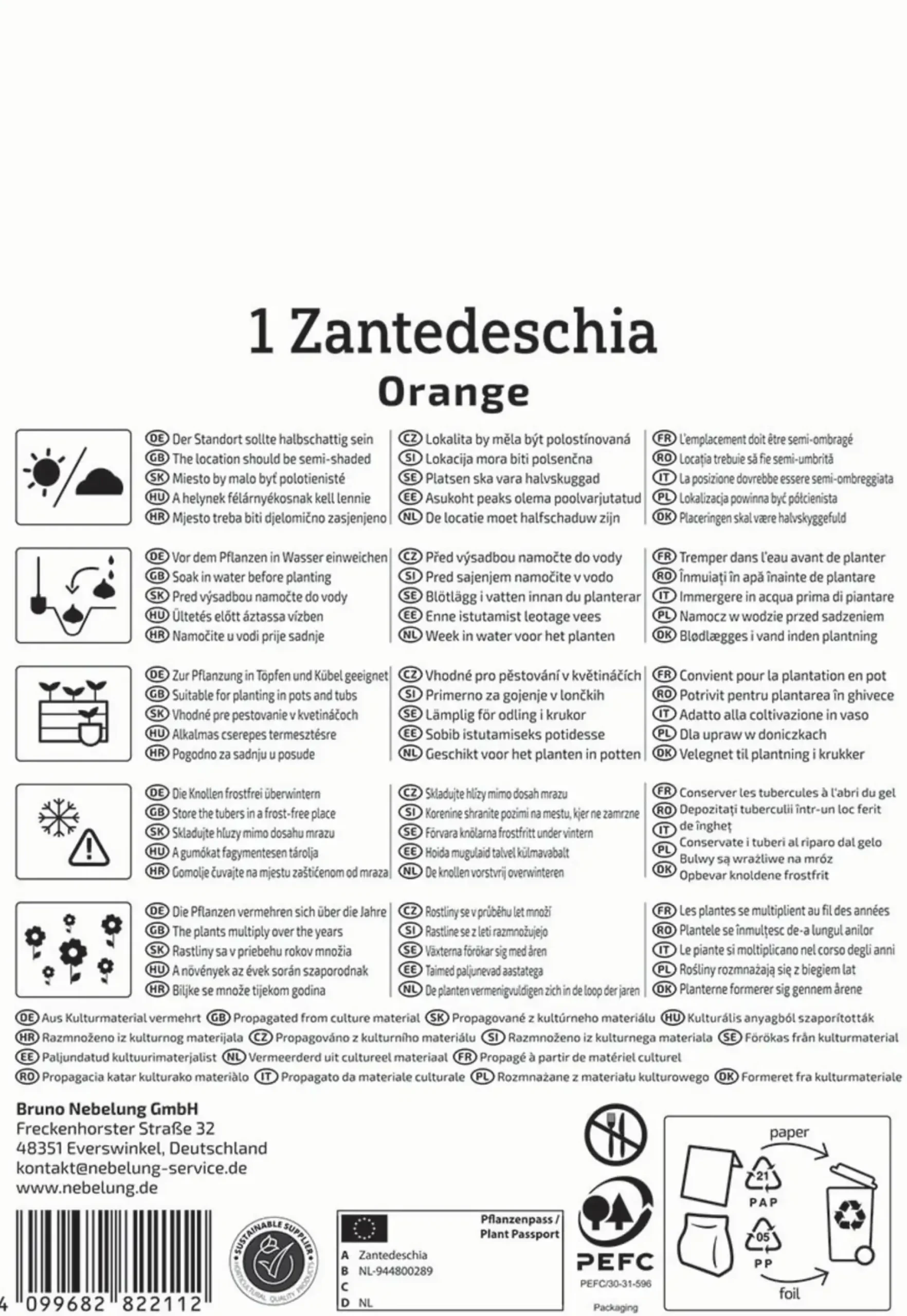 Kiepenkerl Frühjahrsblumenzwiebel Calla Orange 1 Stück