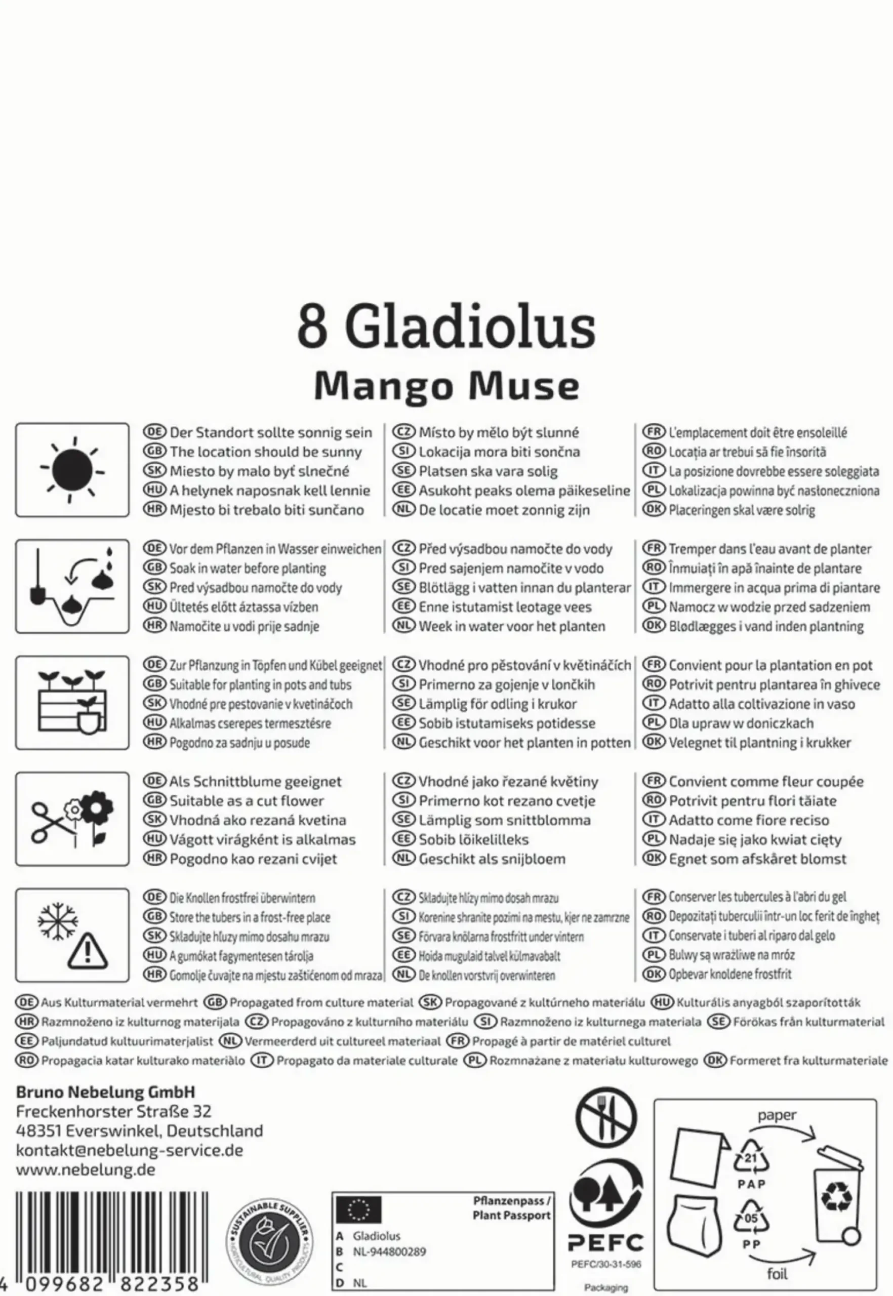 Kiepenkerl Frühjahrsblumenzwiebel Gladiole Mango Muse 8 Stück