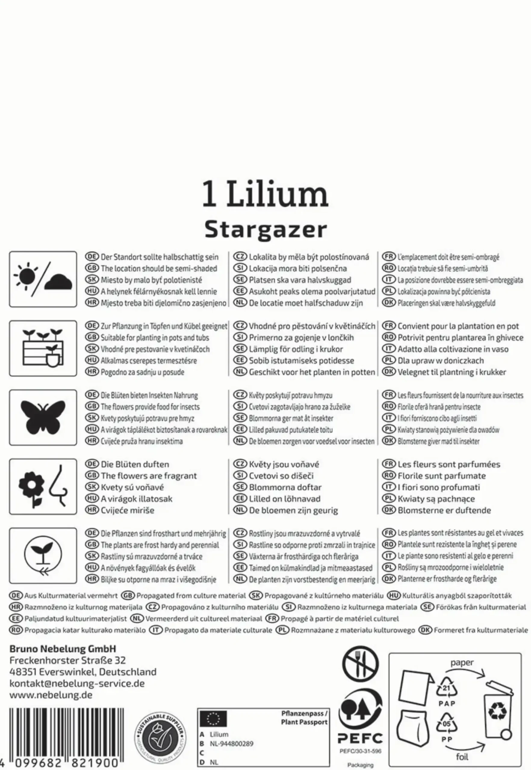 Kiepenkerl Frühjahrsblumenzwiebel Oriental-Lilie Stargazer 1 Stück