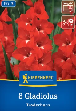 Kiepenkerl Frühjahrsblumenzwiebel Großblumige Gladiole Traderhorn 8 Stück
