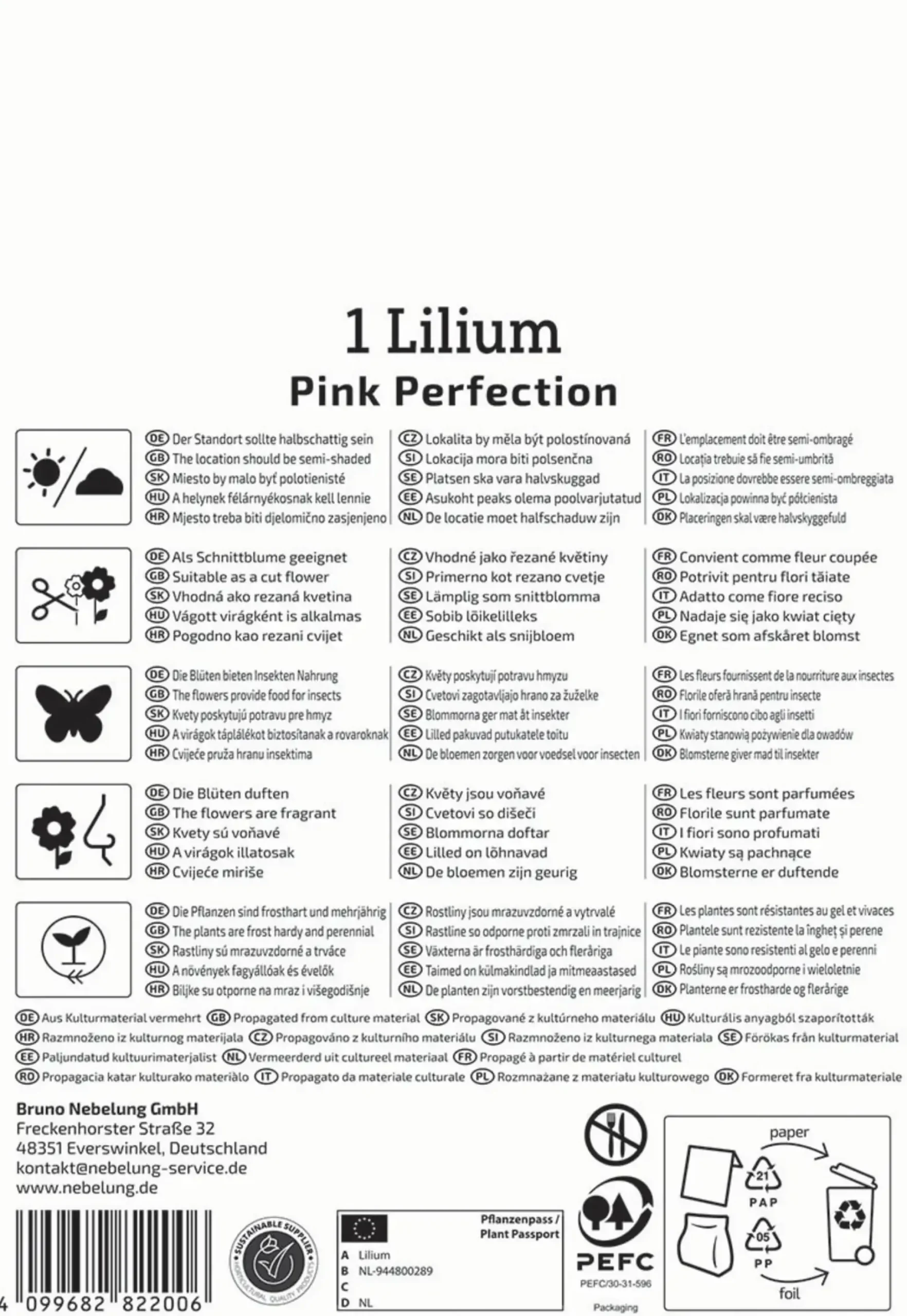 Kiepenkerl Frühjahrsblumenzwiebel Trompeten-Lilie Pink Perfektion 1 Stück