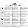 Kiepenkerl Frühjahrsblumenzwiebel Dunkellaubige Beetdahlie Happy Days Creamwhite 1 Stück