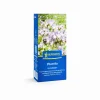 Kiepenkerl Gründünger Phacelia für ca. 40 m²