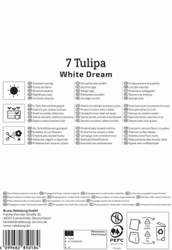 Kiepenkerl Herbstblumenzwiebel Triumph-Tulpe White Dream 7 Stück