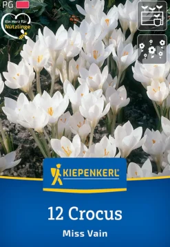 Kiepenkerl Herbstblumenzwiebel Krokus Miss Vain 12 Pflanzen