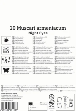 Kiepenkerl Herbstblumenzwiebel Traubenhyazinthe Night Eyes 20 Stück
