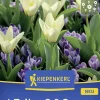 Kiepenkerl Herbstblumenzwiebelmischung Springtime Duo 12 Stück