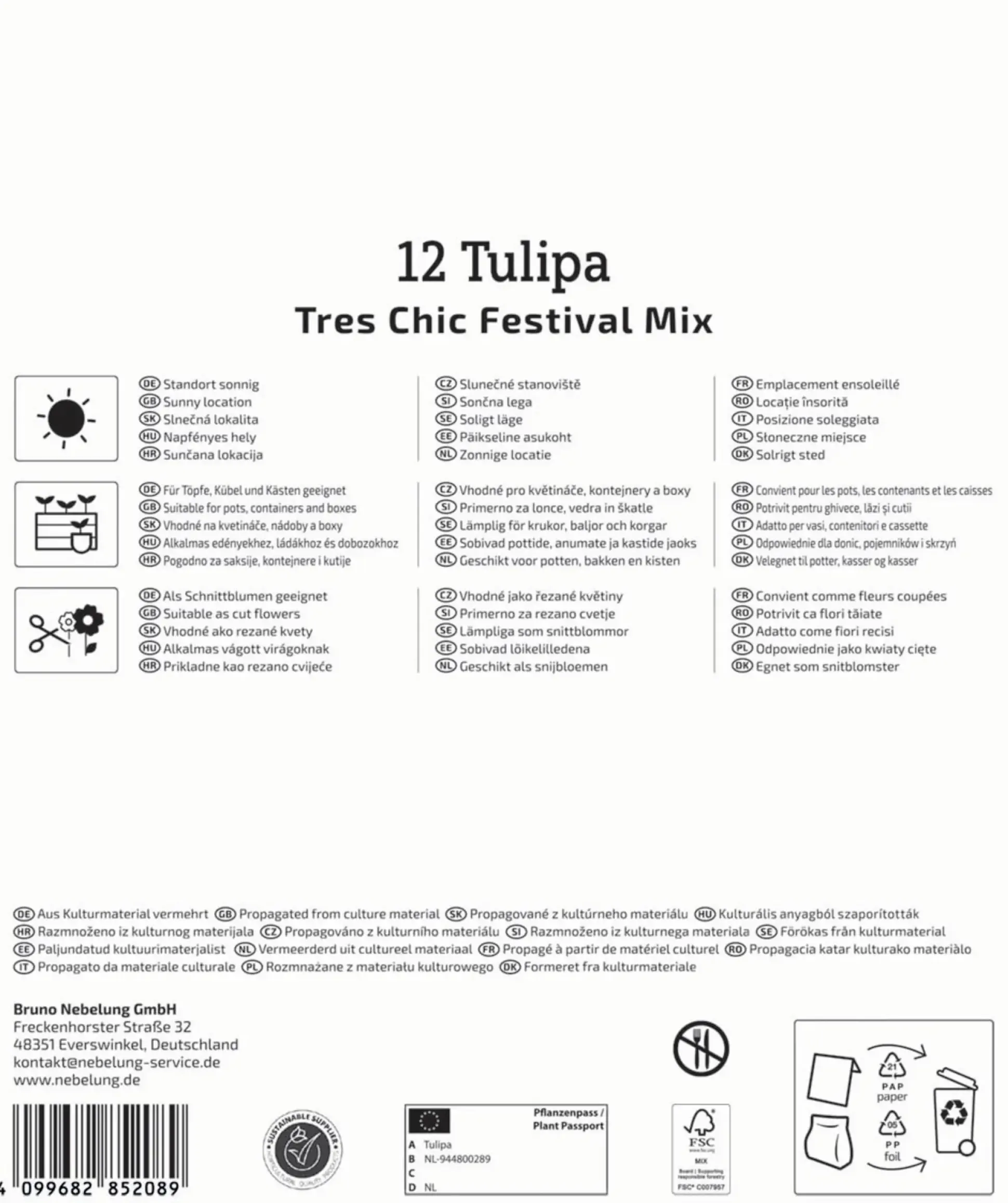 Kiepenkerl Herbstblumenzwiebel Mega-Pack Lilienblütige Tulpen Tres Chic 12 Stück