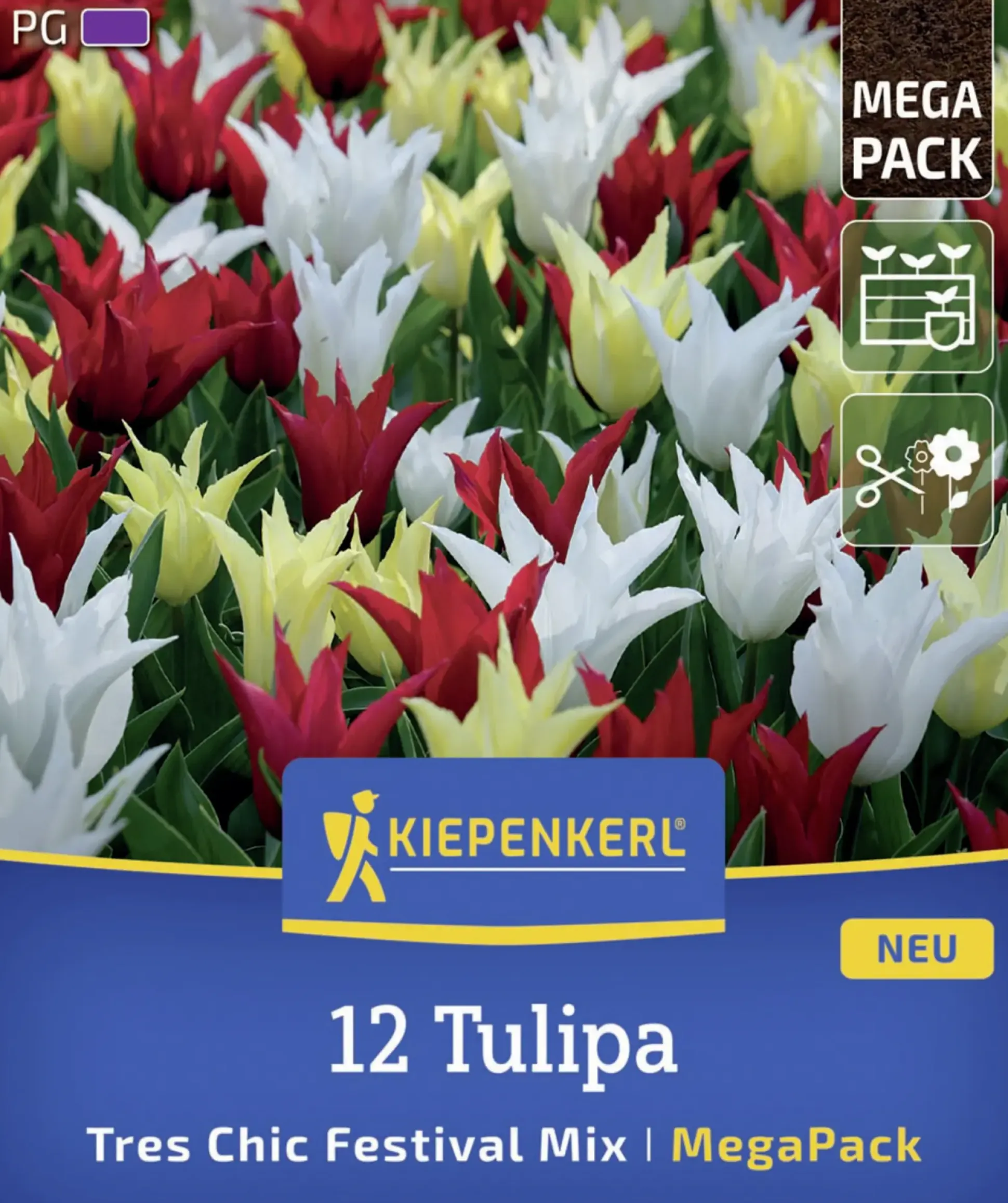 Kiepenkerl Herbstblumenzwiebel Mega-Pack Lilienblütige Tulpen Tres Chic 12 Stück