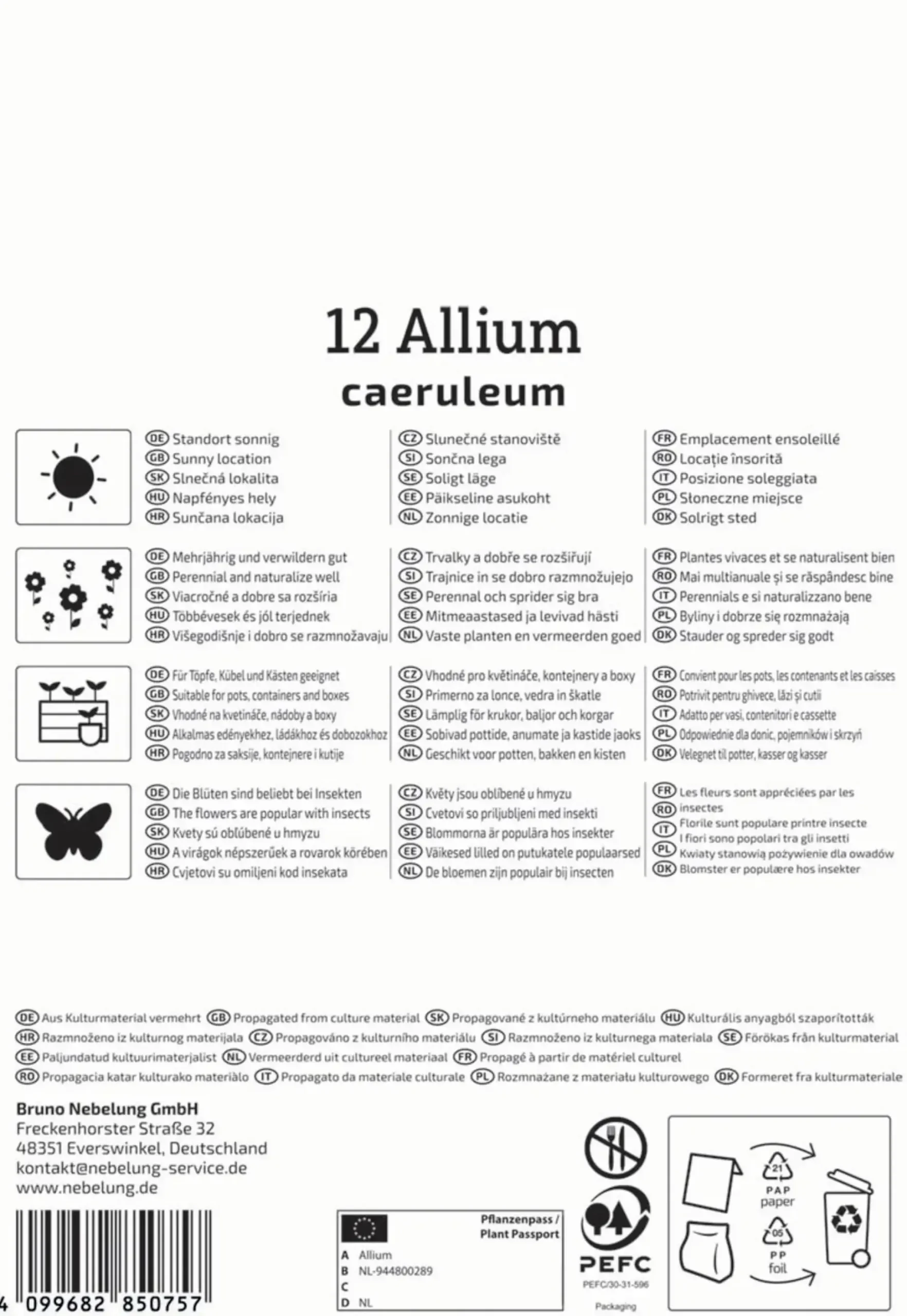 Kiepenkerl Herbstblumenzwiebel Zierlauch Allium caeruleum 12 Stück