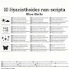Kiepenkerl Herbstblumenzwiebel Profi-Line Hasenglöckchen Blue Bells 10 Stück