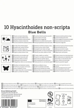 Kiepenkerl Herbstblumenzwiebel Profi-Line Hasenglöckchen Blue Bells 10 Stück