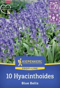 Kiepenkerl Herbstblumenzwiebel Profi-Line Hasenglöckchen Blue Bells 10 Stück