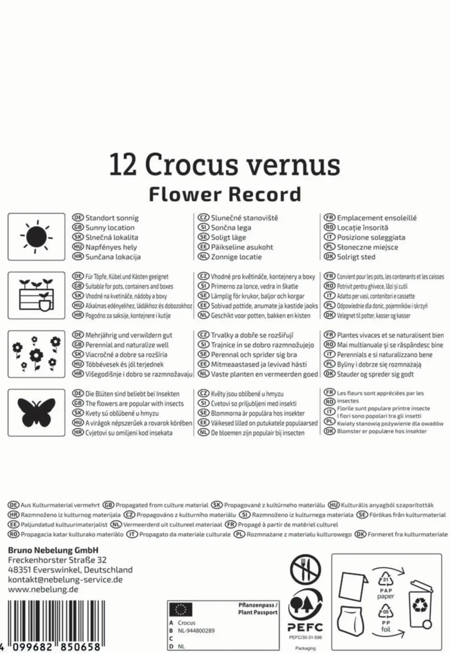 Kiepenkerl Herbstblumenzwiebel Krokus Flower Record 12 Pflanzen