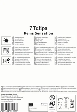 Kiepenkerl Herbstblumenzwiebel Triumph-Tulpe Rems Sensation 7 Stück