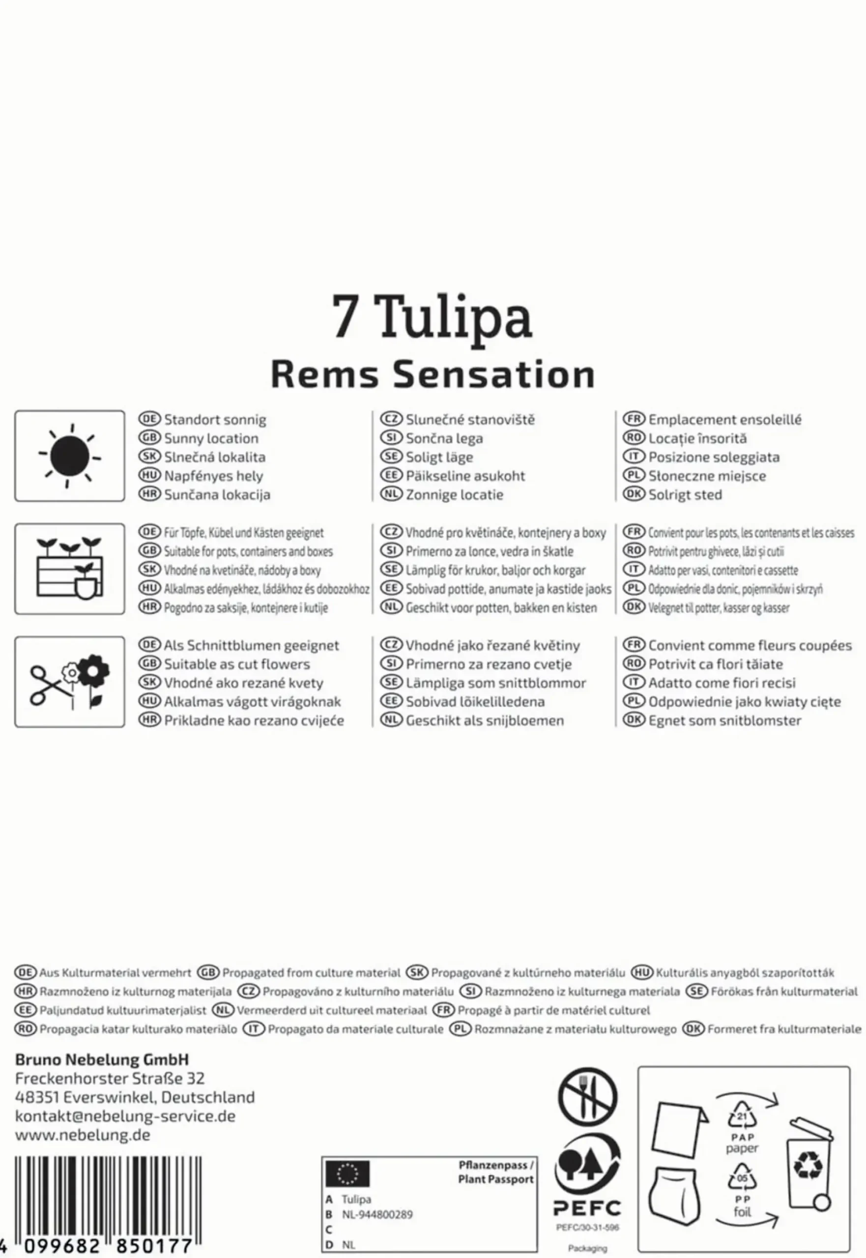 Kiepenkerl Herbstblumenzwiebel Triumph-Tulpe Rems Sensation 7 Stück
