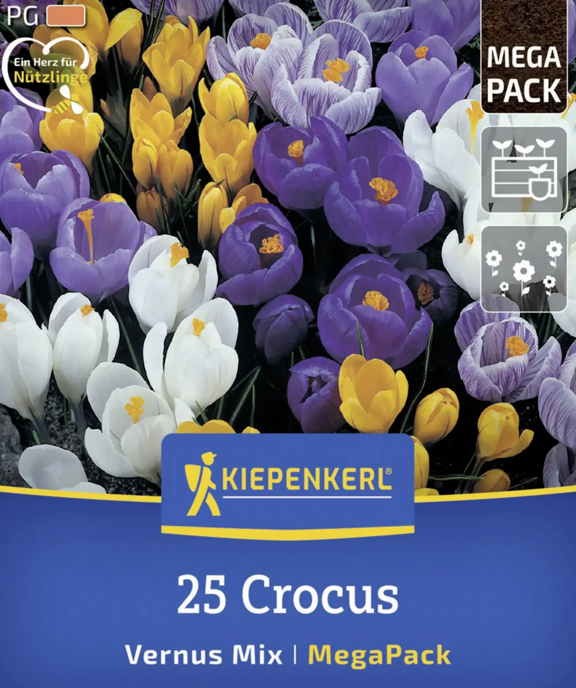 Kiepenkerl Herbstblumenzwiebel Mega-Pack Gartenkrokuse 25 Stück