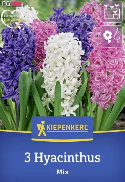Kiepenkerl Herbstblumenzwiebel Hyazinthen Mischung 3 Stück