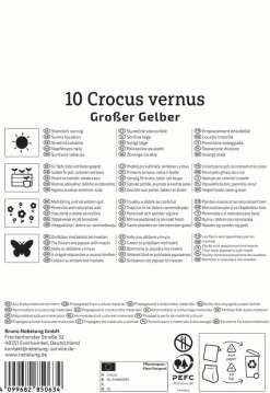Kiepenkerl Herbstblumenzwiebel Großblumiger Krokus Großer Gelber 10 Stück