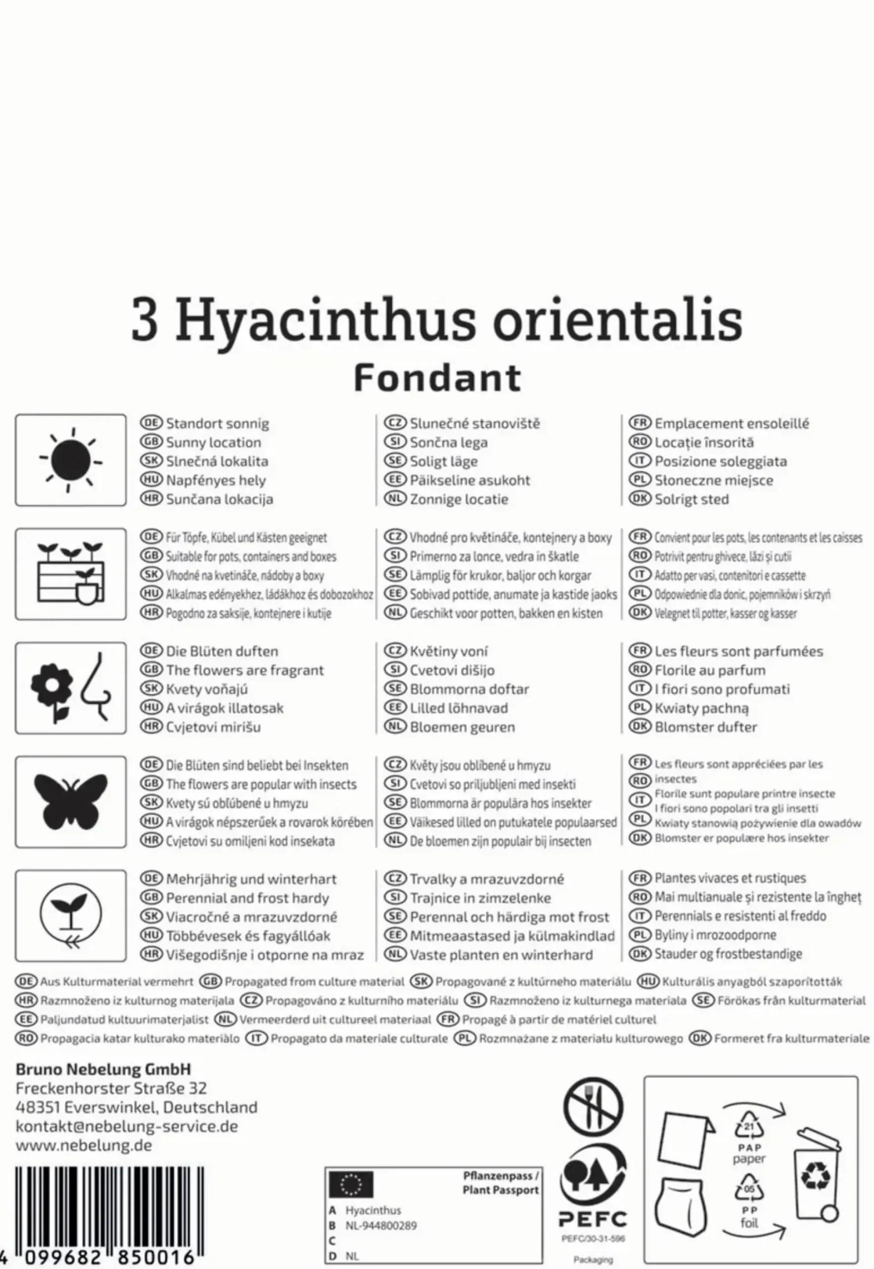 Kiepenkerl Herbstblumenzwiebel Hyazinthe Fondant 3 Stück