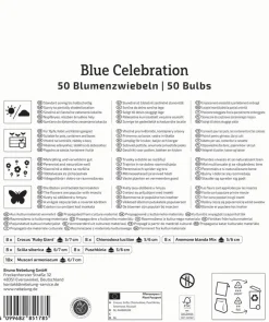 Kiepenkerl Herbstblumenzwiebelmischung Mega-Pack Blue Celebration 50 Stück