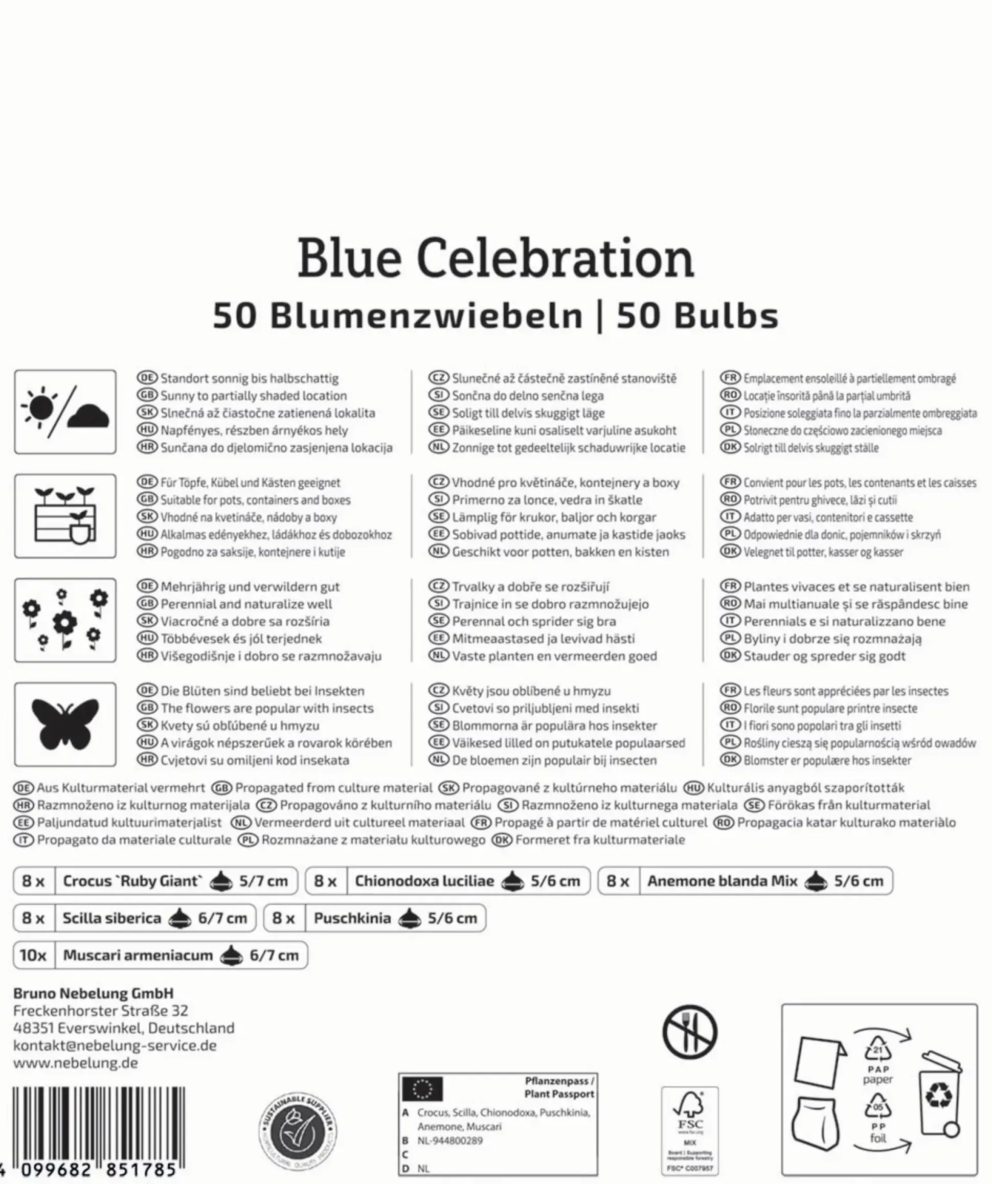 Kiepenkerl Herbstblumenzwiebelmischung Mega-Pack Blue Celebration 50 Stück
