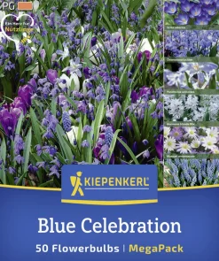 Kiepenkerl Herbstblumenzwiebelmischung Mega-Pack Blue Celebration 50 Stück