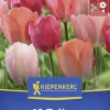 Kiepenkerl Herbstblumenzwiebel Darwin-Hybrid-Tulpe Van Eijk Mischung 10 Stück