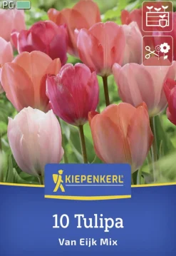 Kiepenkerl Herbstblumenzwiebel Darwin-Hybrid-Tulpe Van Eijk Mischung 10 Stück