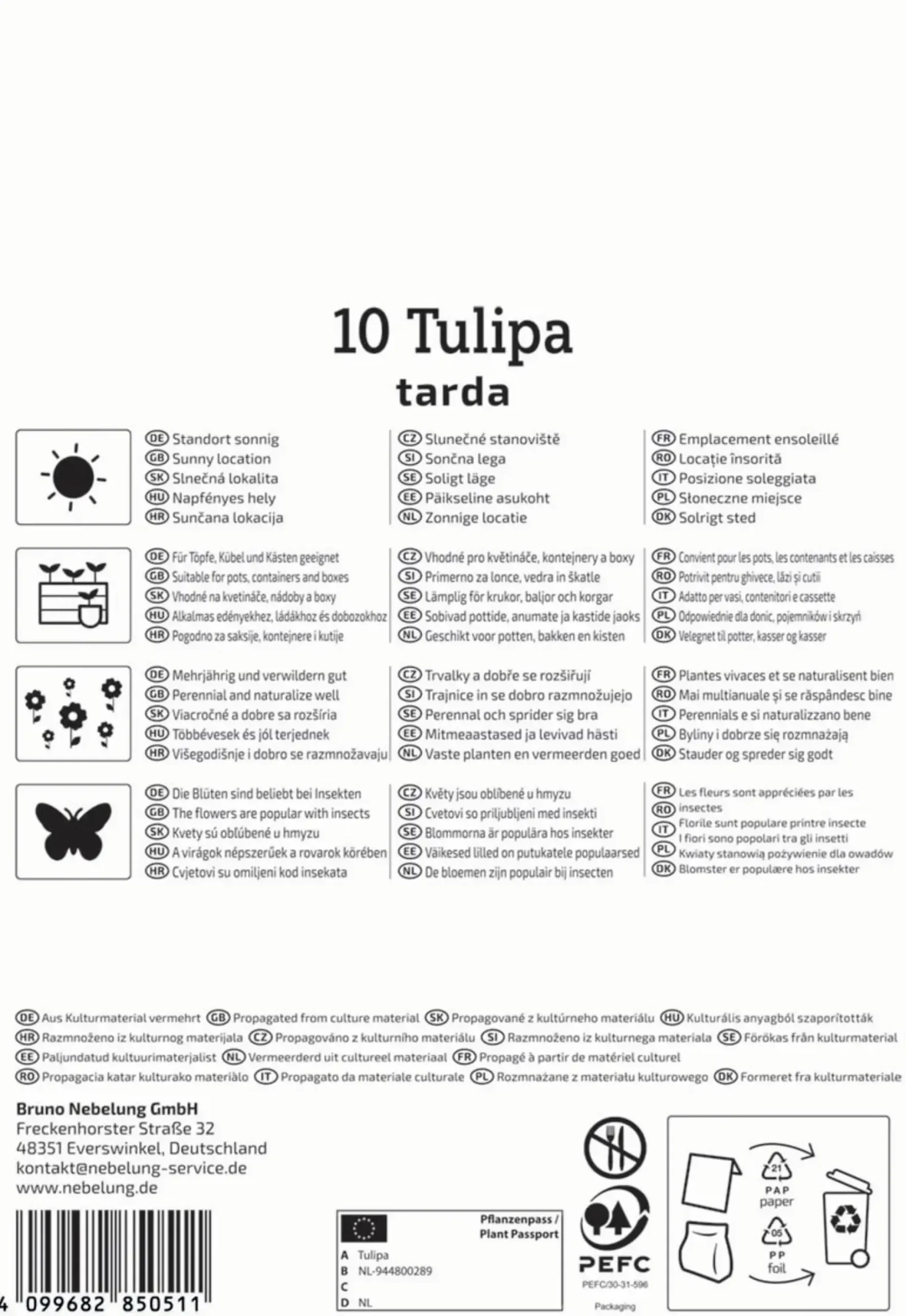 Kiepenkerl Herbstblumenzwiebel Wildtulpe Tulipa tarda 10 Stück
