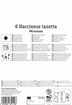 Kiepenkerl Herbstblumenzwiebel Tazetten-Narzisse Minnow 6 Stück