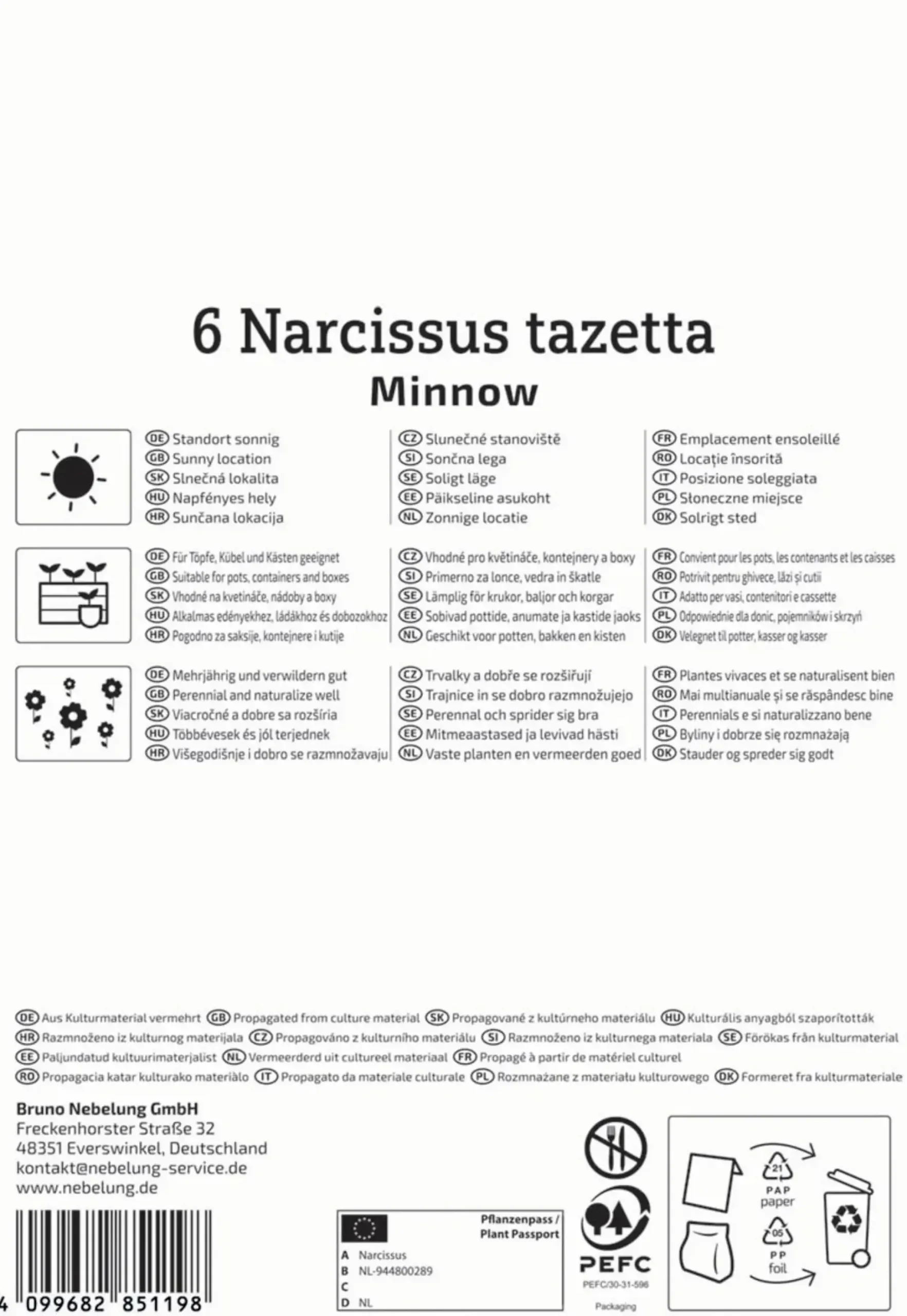 Kiepenkerl Herbstblumenzwiebel Tazetten-Narzisse Minnow 6 Stück