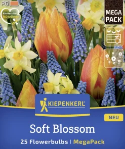 Kiepenkerl Herbstblumenzwiebelmischung Mega-Pack Soft Blossom 25 Stück