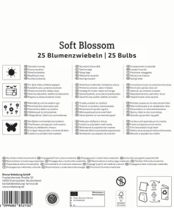 Kiepenkerl Herbstblumenzwiebelmischung Mega-Pack Soft Blossom 25 Stück