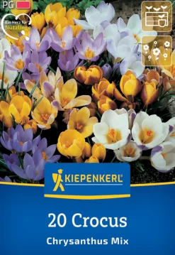 Kiepenkerl Herbstblumenzwiebel Krokus Mischung 20 Pflanzen