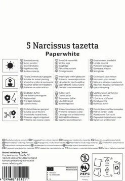 Kiepenkerl Herbstblumenzwiebel Zimmer-Narzisse Paperwhite 5 Pflanzen